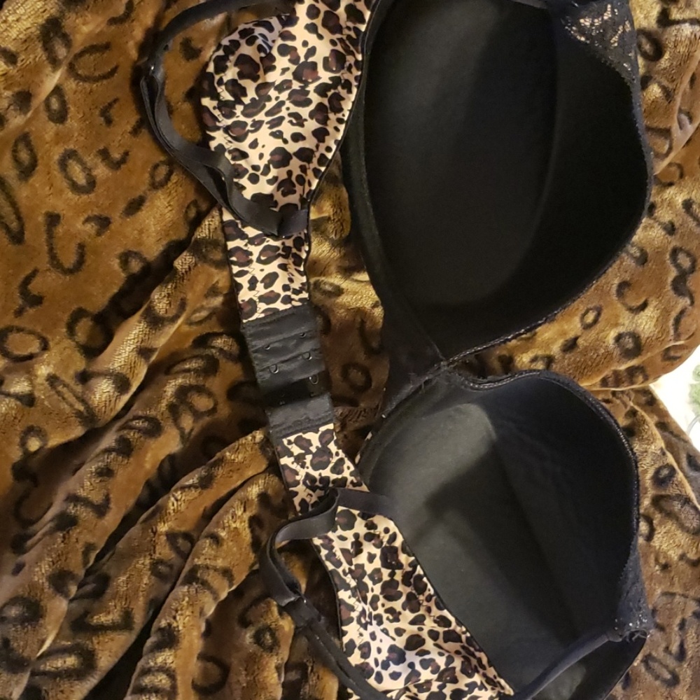Leopard Bra - Picture 2 of 3